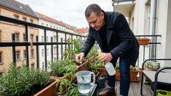 Aspirin für Pflanzen: Was hinter dem Hausmittel steckt – und wie du es sicher anwendest